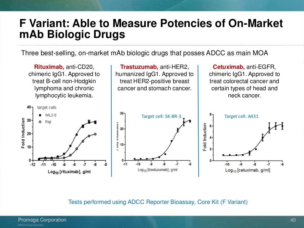 Adcc Reporter Bioassay _ ADCC Reporter Bioassay, Core Kit – VMUS