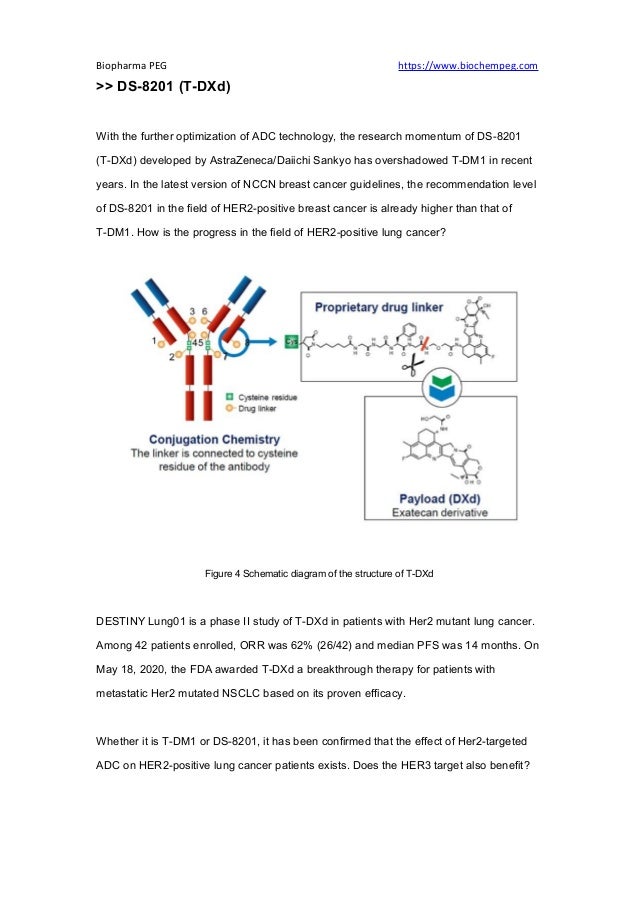ADC Drugs For Non-small Cell Lung Cancer.pdf