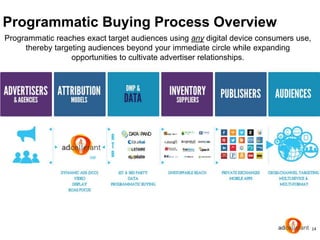 Making Programmatic Unproblematic - by AdCellerant | PPTX