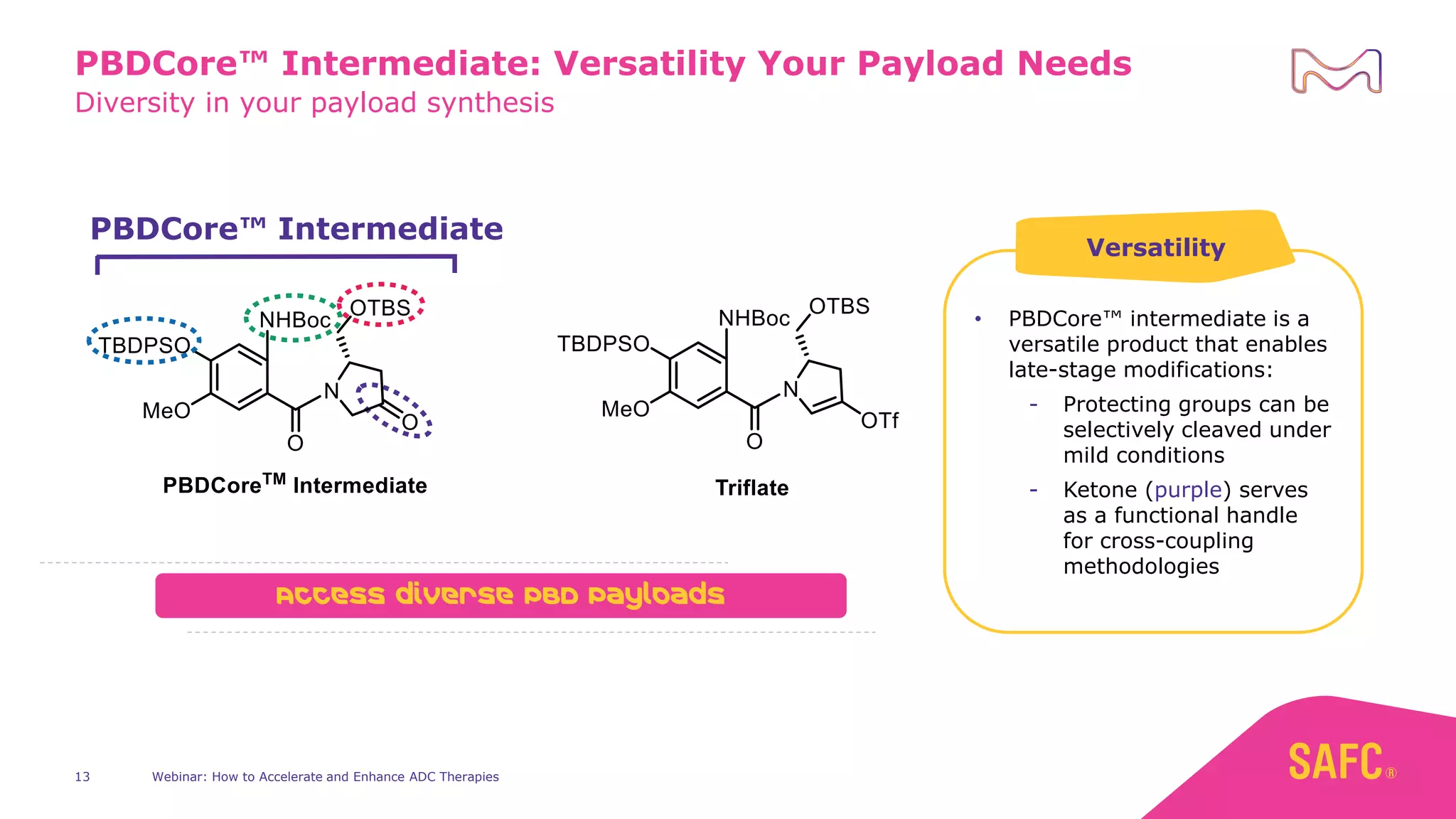 Diversity in your payload synthesis
PBDCore™ Intermediate: Versatility Your Payload Needs
• PBDCore™ intermediate is a
versatile product that enables
late-stage modifications:
- Protecting groups can be
selectively cleaved under
mild conditions
- Ketone (purple) serves
as a functional handle
for cross-coupling
methodologies
Versatility
PBDCore™ Intermediate
Access diverse PBD Payloads
Webinar: How to Accelerate and Enhance ADC Therapies
13
 
