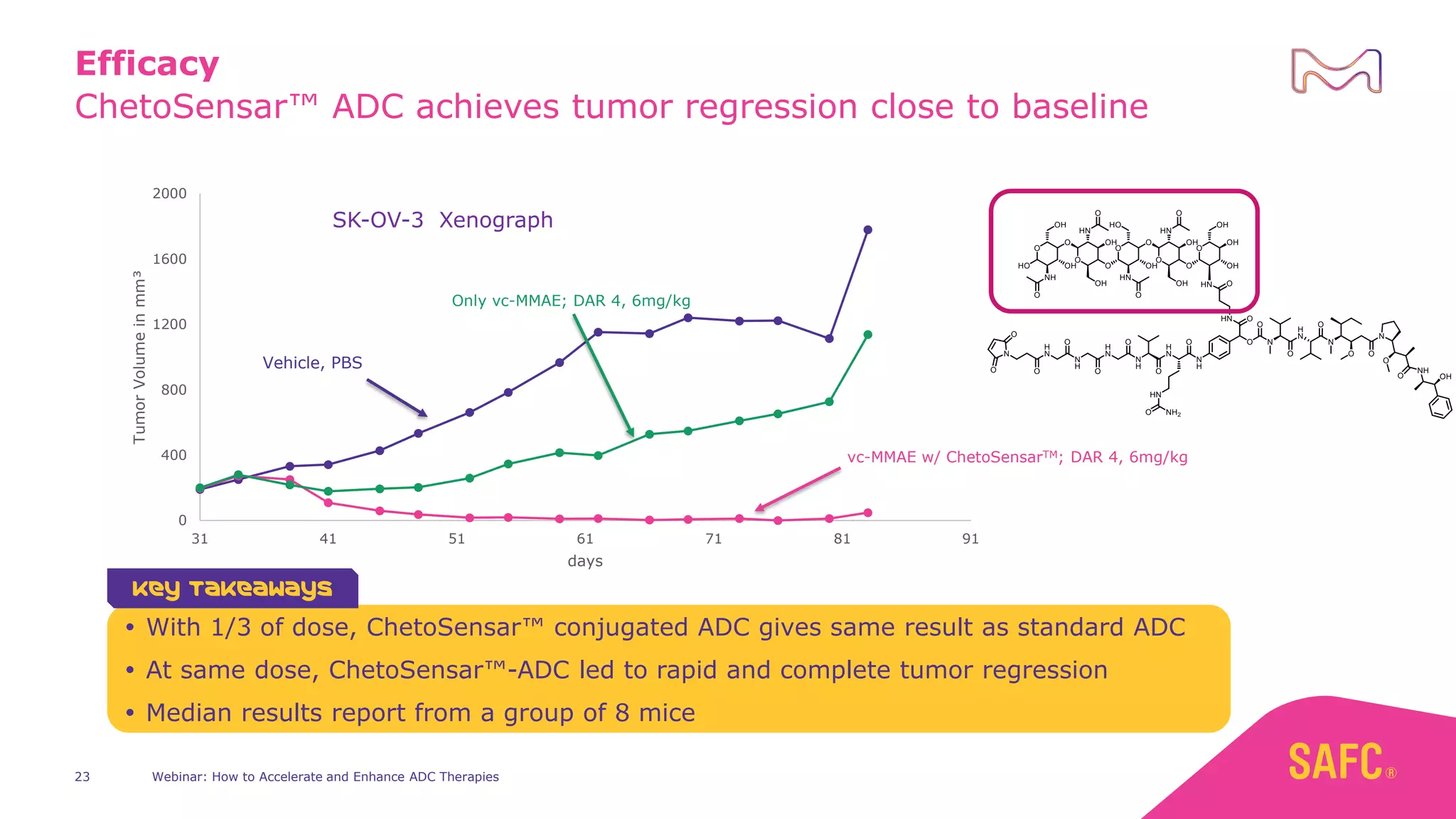 ChetoSensar™ ADC achieves tumor regression close to baseline
Efficacy
0
400
800
1200
1600
2000
31 41 51 61 71 81 91
Tumor
Volume
in
mm³
days
Vehicle, PBS
Only vc-MMAE; DAR 4, 6mg/kg
vc-MMAE w/ ChetoSensarTM; DAR 4, 6mg/kg
 With 1/3 of dose, ChetoSensar™ conjugated ADC gives same result as standard ADC
 At same dose, ChetoSensar™-ADC led to rapid and complete tumor regression
 Median results report from a group of 8 mice
Key Takeaways
Webinar: How to Accelerate and Enhance ADC Therapies
23
SK-OV-3 Xenograph
 