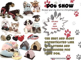 Dog Show
Because your dog deserves everything good!

WWW.DOGSHOW.COM

 