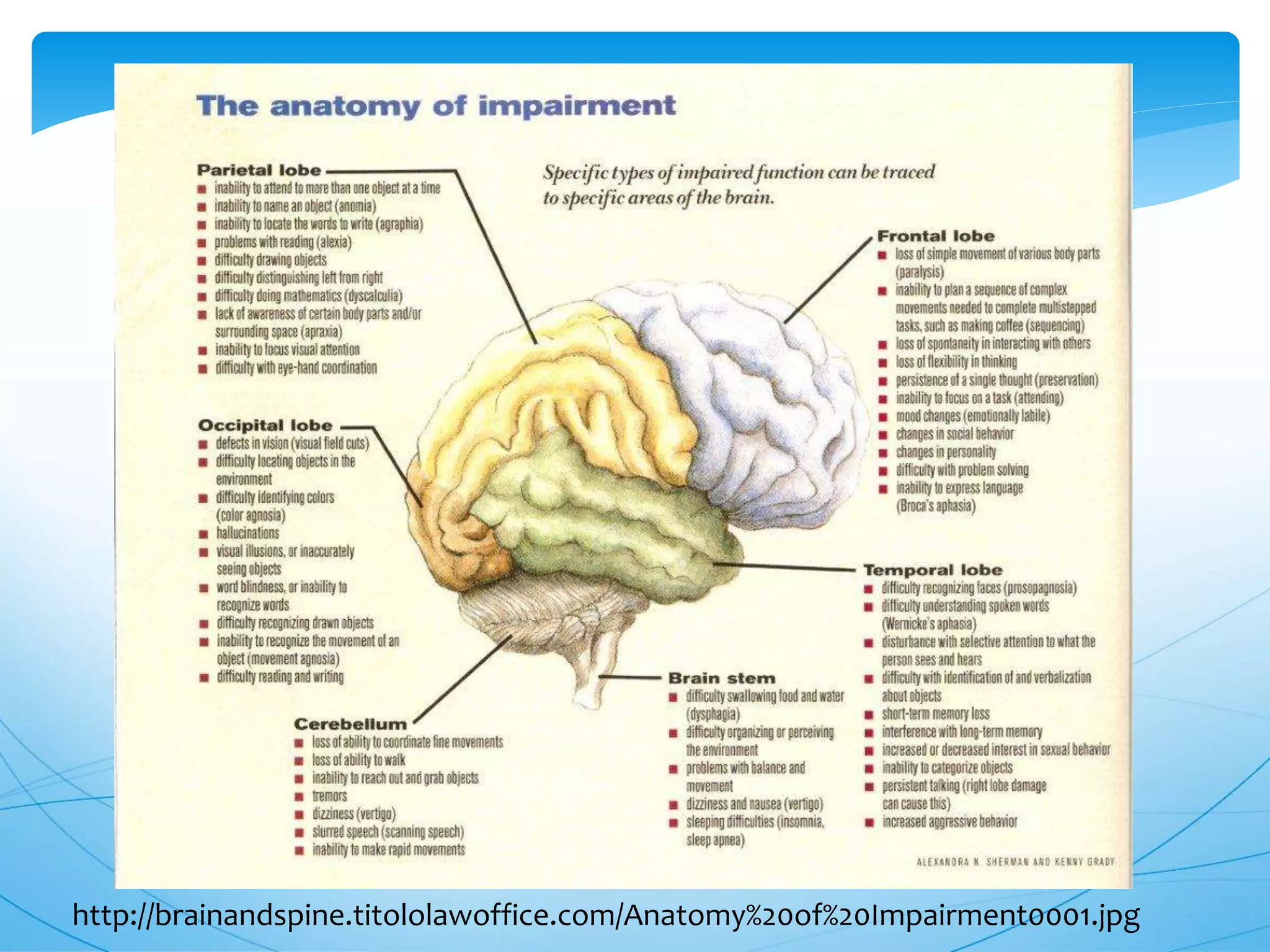http://brainandspine.titololawoffice.com/Anatomy%20of%20Impairment0001.jpg
 