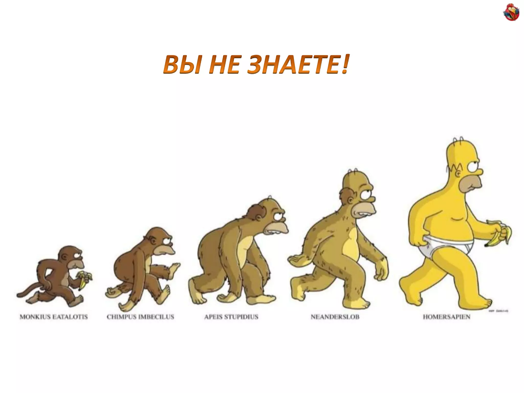 ВЫ НЕ ЗНАЕТЕ!