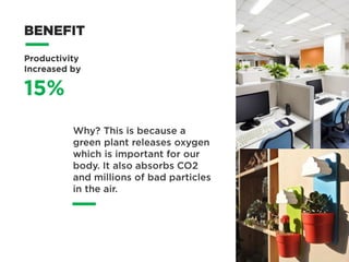 Add A Green Spot In Your Office Table