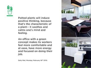 Add A Green Spot In Your Office Table