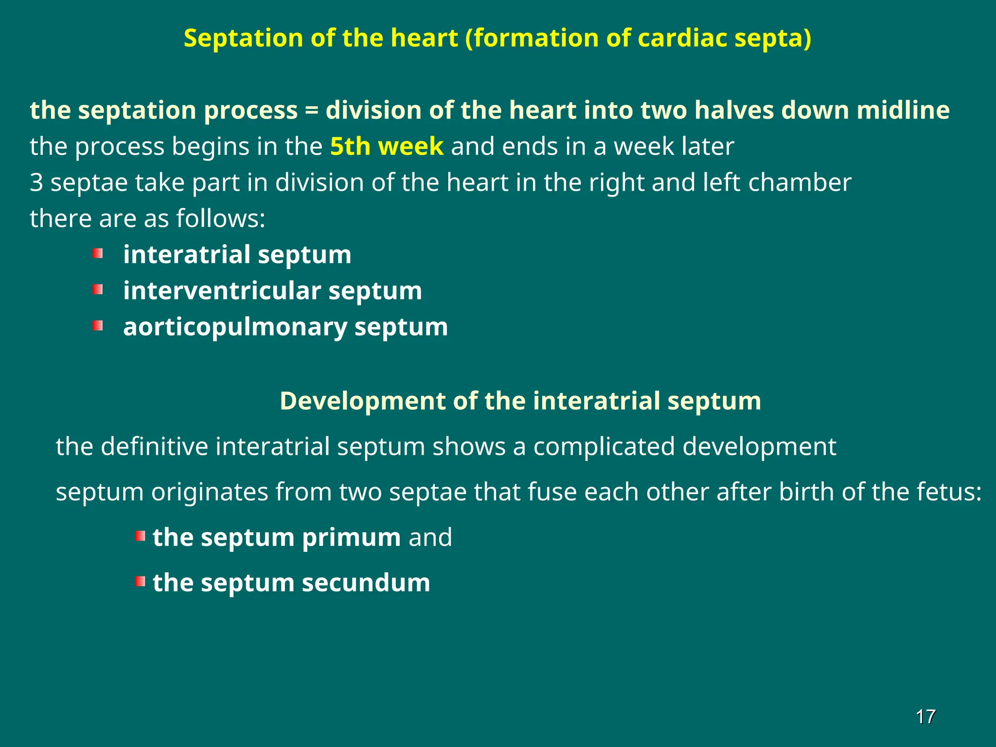 Septation of the heart (formation of cardiac septa)
the septation process = division of the heart into two halves down midline
the process begins in the 5th week and ends in a week later
3 septae take part in division of the heart in the right and left chamber
there are as follows:
interatrial septum
interventricular septum
aorticopulmonary septum
Development of the interatrial septum
the definitive interatrial septum shows a complicated development
septum originates from two septae that fuse each other after birth of the fetus:
the septum primum and
the septum secundum
17
17
 