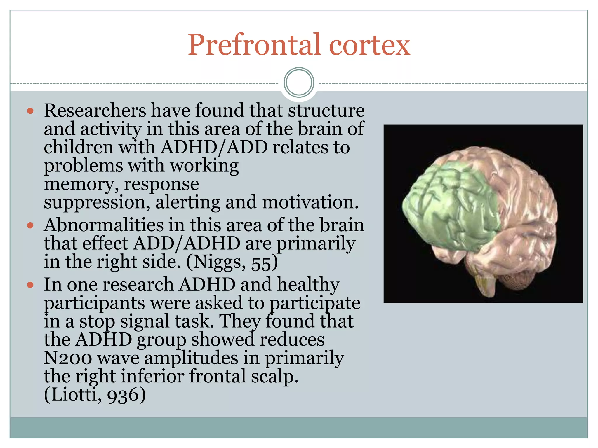 Prefrontal cortex

 Researchers have found that structure
  and activity in this area of the brain of
  children with ADHD/ADD relates to
  problems with working
  memory, response
  suppression, alerting and motivation.
 Abnormalities in this area of the brain
  that effect ADD/ADHD are primarily
  in the right side. (Niggs, 55)
 In one research ADHD and healthy
  participants were asked to participate
  in a stop signal task. They found that
  the ADHD group showed reduces
  N200 wave amplitudes in primarily
  the right inferior frontal scalp.
  (Liotti, 936)
 