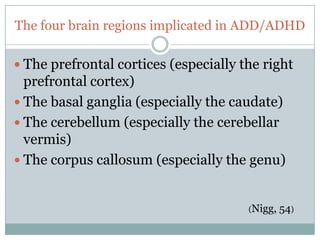 The four brain regions implicated in ADD/ADHD

 The prefrontal cortices (especially the right
  prefrontal cortex)
 The basal ganglia (especially the caudate)
 The cerebellum (especially the cerebellar
  vermis)
 The corpus callosum (especially the genu)


                                       (Nigg,   54)
 