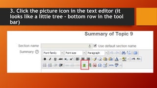 3. Click the picture icon in the text editor (it
looks like a little tree – bottom row in the tool
bar)
 