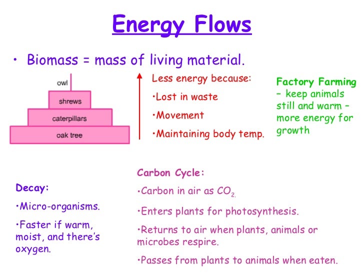 Additional Biology Revision Guide