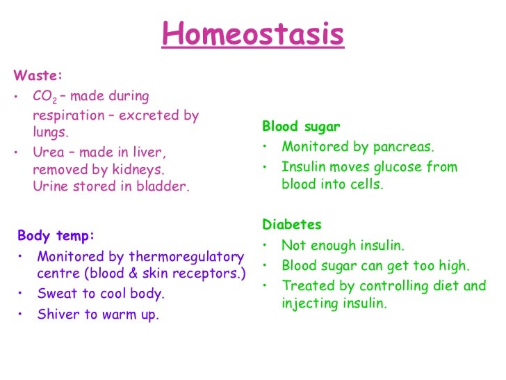 Additional Biology Revision Guide