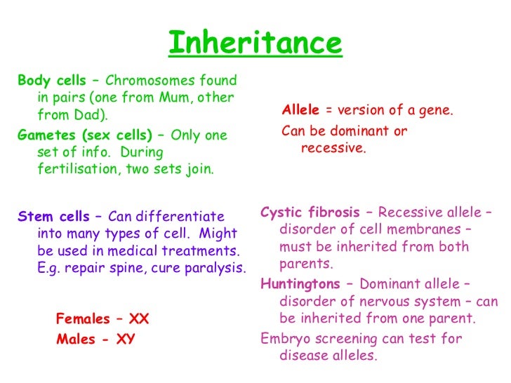 Additional Biology Revision Worksheets