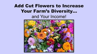 Add Cut Flowers to Increase
Your Farm’s Diversity…
and Your Income!
 