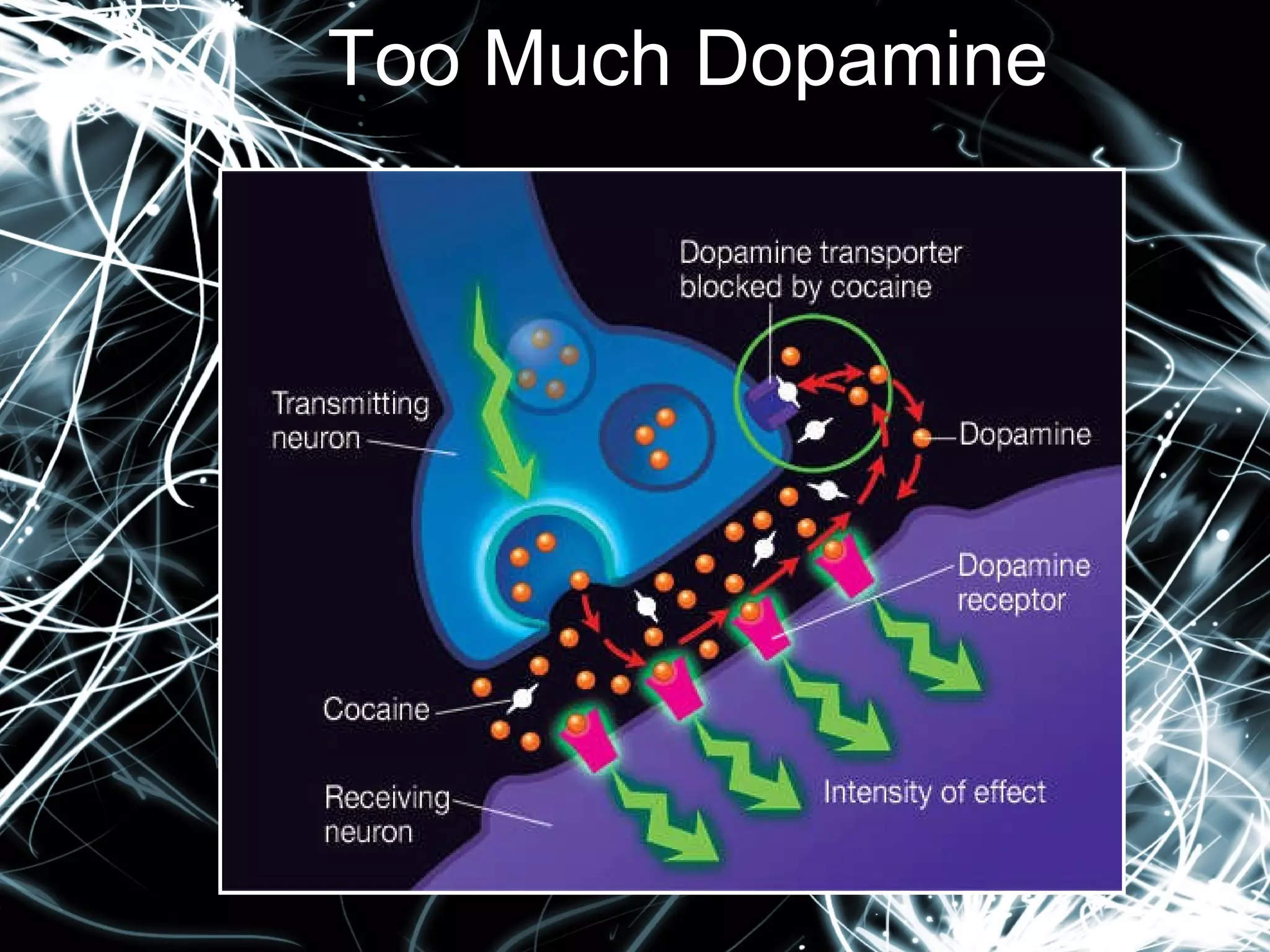 Too Much Dopamine  