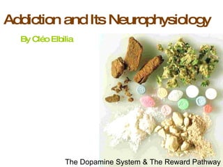 Addiction and Its Neurophysiology  By Cl éo Elbilia The Dopamine System & The Reward Pathway 