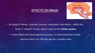 EFFECTS ON BRAIN
• All drugs of abuse - nicotine, cocaine, marijuana, and others - effect the
brain's "reward" circuit, which is part of the limbic system.
• It also effects the neuro-genesis process, i.e the production of new
neurons which are 700 per day for a healthy man.
 