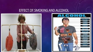 EFFECT OF SMOKING AND ALCOHOL
 