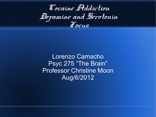 Cocaine Addiction
Dopamine and Serotonin
        Focus


   Lorenzo Camacho
  Psyc 275 “The Brain”
Professor Christine Moon
      Aug/6/2012
 
