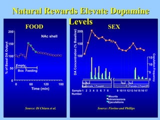 Natural Rewards Elevate Dopamine Levels 0 50 100 150 200 0 60 120 180 Time (min) % of Basal DA Output NAc shell Empty Box Feeding Source: Di Chiara et al. FOOD 100 150 200 DA Concentration (% Baseline) Mounts Intromissions Ejaculations 15 0 5 10 Copulation Frequency Sample Number 1 2 3 4 5 6 7 8 9 10 11 12 13 14 15 16 17 Scr Scr Bas Female 1 Present Scr Female 2 Present Scr Source: Fiorino and Phillips SEX 