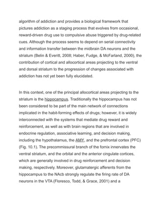 algorithm of addiction and provides a biological framework that
pictures addiction as a staging process that evolves from occasional,
reward-driven drug use to compulsive abuse triggered by drug-related
cues. Although the process seems to depend on serial connectivity
and information transfer between the midbrain DA neurons and the
striatum (Belin & Everitt, 2008; Haber, Fudge, & McFarland, 2000), the
contribution of cortical and allocortical areas projecting to the ventral
and dorsal striatum to the progression of changes associated with
addiction has not yet been fully elucidated.
In this context, one of the principal allocortical areas projecting to the
striatum is the hippocampus. Traditionally the hippocampus has not
been considered to be part of the main network of connections
implicated in the habit-forming effects of drugs; however, it is widely
interconnected with the systems that mediate drug reward and
reinforcement, as well as with brain regions that are involved in
endocrine regulation, associative learning, and decision making,
including the hypothalamus, the AMY, and the prefrontal cortex (PFC)
(Fig. 10.1). The precommissural branch of the fornix innervates the
ventral striatum, and the orbital and the anterior cingulate cortices,
which are generally involved in drug reinforcement and decision
making, respectively. Moreover, glutamatergic afferents from the
hippocampus to the NAcb strongly regulate the firing rate of DA
neurons in the VTA (Floresco, Todd, & Grace, 2001) and a
 