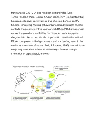 transsynaptic CA3–VTA loop has been demonstrated (Luo,
Tahsili-Fahadan, Wise, Lupica, & Aston-Jones, 2011), suggesting that
hippocampal activity can influence drug-stimulated effects on DA
function. Since drug-seeking behaviors are critically linked to specific
contexts, the presence of this hippocampal–NAcb–VTA transneuronal
connection provides a scaffold for the hippocampus to engage in
drug-mediated behaviors. It is also important to consider that midbrain
DA neurons project to the hippocampus and surrounding areas in the
medial temporal lobe (Gasbarri, Sulli, & Packard, 1997), thus addictive
drugs may have direct effects on hippocampal function through
stimulation of dopaminergic afferents.
 
