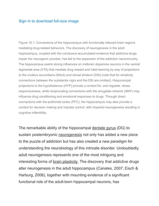 Sign in to download full-size image
Figure 10.1. Connections of the hippocampus with functionally relevant brain regions
mediating drug-related behaviors. The discovery of neurogenesis in the adult
hippocampus, coupled with the conclusive accumulated evidence that addictive drugs
impair the neurogenic process, has led to the expansion of the addiction neurocircuitry.
The hippocampus exerts strong influences on midbrain dopamine neurons in the ventral
tegmental area (VTA) that mediate drug reward and habit learning by way of projections
to the nucleus accumbens (NAcb) and dorsal striatum (DSt) (note that for simplicity
connections between the substantia nigra and the DSt are omitted). Hippocampal
projections to the hypothalamus (HYP) provide a context for, and regulate, stress
responsiveness, while reciprocating connections with the amygdala network (AMY) may
influence drug conditioning and emotional responses to drugs. Through direct
connections with the prefrontal cortex (PFC), the hippocampus may also provide a
context for decision making and impulse control, with impaired neurogenesis resulting in
cognitive inflexibility.
The remarkable ability of the hippocampal dentate gyrus (DG) to
sustain postembryonic neurogenesis not only has added a new piece
to the puzzle of addiction but has also created a new paradigm for
understanding the neurobiology of this intricate disorder. Undoubtedly,
adult neurogenesis represents one of the most intriguing and
interesting forms of brain plasticity. The discovery that addictive drugs
alter neurogenesis in the adult hippocampus (Canales, 2007; Eisch &
Harburg, 2006), together with mounting evidence of a significant
functional role of the adult-born hippocampal neurons, has
 