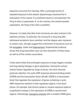 dopamine neurones fire intensely. After a prolonged period of
repeated exposure to the reward, dopaminergic neurones fire in
anticipation of the reward. If a predicted reward is not presented, the
firing of cells is suppressed. If, on the contrary, the reward exceeds
expectation, the firing of the cells is amplified.
However, it is likely that other brain structures are also involved in the
addiction process. In particular, the craving for a drug long after
withdrawal symptoms have vanished, and the relapse upon exposure
to certain cues, strongly suggest the involvement of structures such as
the amygdala, cortex and hippocampus. Experimental evidence
shows that drug-associated cues can elicit activation of these areas,
as well as of the nucleus accumbens.
It also seems likely that prolonged exposure to drugs triggers complex
and long-lasting changes in gene expression. Among the various
cellular factors regulated by drugs of abuse, two have received
particular attention: the cyclic AMP response-element-binding protein
(CREB) and the transcription factor ΔFosB. CREB is a transcription
factor that regulates the expression of genes containing a cyclic
AMP-responsive element in their regulatory regions. It has been
shown, for example, that chronic opiate or cocaine exposure leads to
a significant increase in the expression of CREB in several brain
regions. Interestingly, transgenic animals with a mutated CREB gene
 