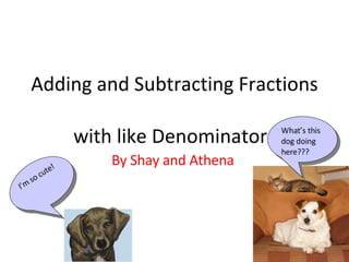 Adding and Subtracting Fractions  with like Denominators By Shay and Athena  I’m so cute! What’s this dog doing here??? 