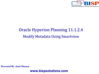 Adding Metadata Using Smartview Ppt