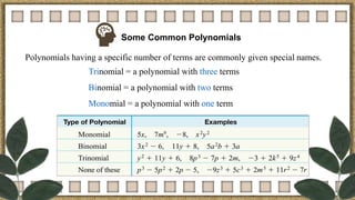 Some Common Polynomials
Polynomials having a specific number of terms are commonly given special names.
Trinomial = a polynomial with three terms
Binomial = a polynomial with two terms
Monomial = a polynomial with one term
 