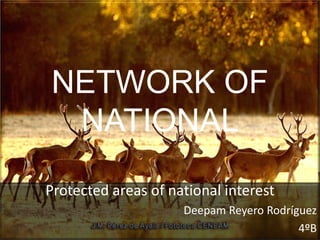 NETWORK OF
NATIONAL
Protected areas of national interest
Deepam Reyero Rodríguez
4ºB
 