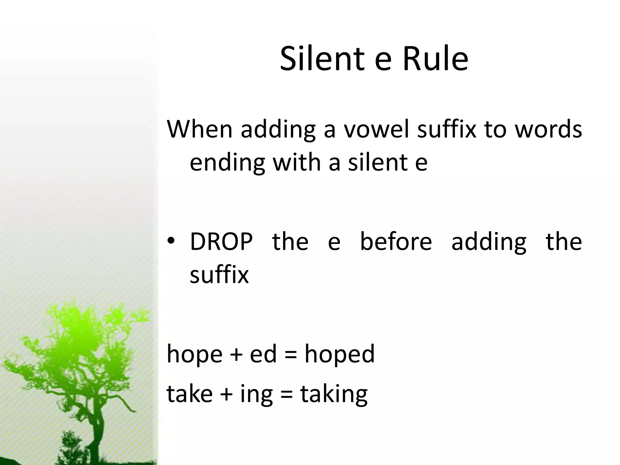 Adding Vowel Suffixes