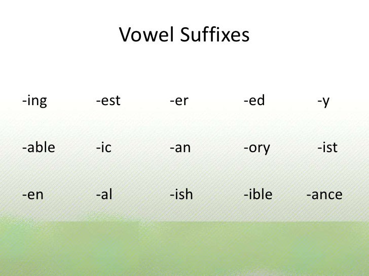 Adding Vowel Suffixes