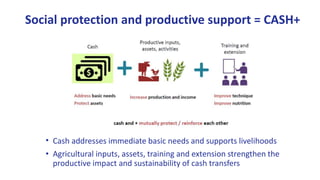 Social Protection & Rural Livelihoods | PPTX