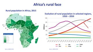 Social Protection & Rural Livelihoods | PPTX
