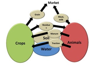 Sustainable intensification of crop-livestock systems to improve food security and farm income diversification in the Ethiopian highlands: Project Design Workshop—Project Outline and concepts