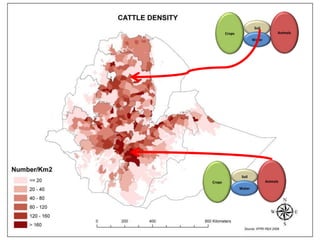 Sustainable intensification of crop-livestock systems to improve food security and farm income diversification in the Ethiopian highlands: Project Design Workshop—Project Outline and concepts