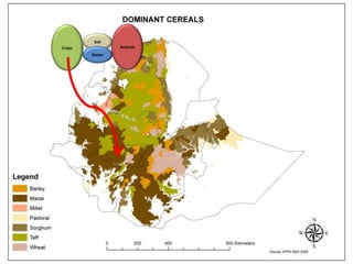 Sustainable intensification of crop-livestock systems to improve food security and farm income diversification in the Ethiopian highlands: Project Design Workshop—Project Outline and concepts