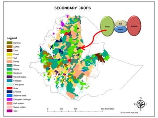 Sustainable intensification of crop-livestock systems to improve food security and farm income diversification in the Ethiopian highlands: Project Design Workshop—Project Outline and concepts