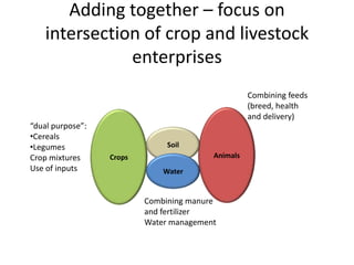 Sustainable intensification of crop-livestock systems to improve food security and farm income diversification in the Ethiopian highlands: Project Design Workshop—Project Outline and concepts