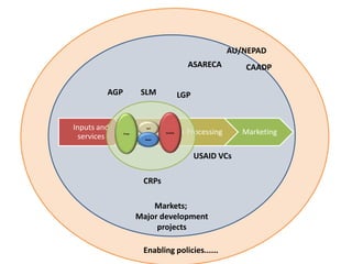 Sustainable intensification of crop-livestock systems to improve food security and farm income diversification in the Ethiopian highlands: Project Design Workshop—Project Outline and concepts