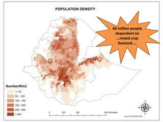Sustainable intensification of crop-livestock systems to improve food security and farm income diversification in the Ethiopian highlands: Project Design Workshop—Project Outline and concepts