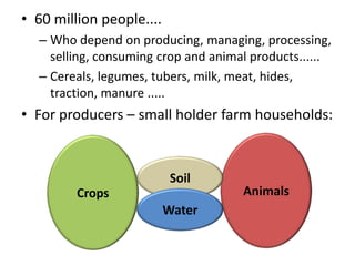 Sustainable intensification of crop-livestock systems to improve food security and farm income diversification in the Ethiopian highlands: Project Design Workshop—Project Outline and concepts