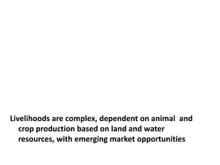 Sustainable intensification of crop-livestock systems to improve food security and farm income diversification in the Ethiopian highlands: Project Design Workshop—Project Outline and concepts