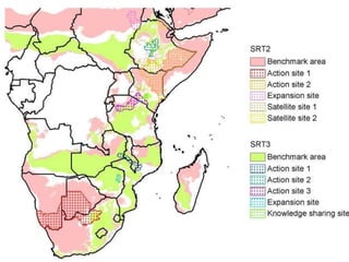 Research on sustainable intensification in the CGIAR research programs