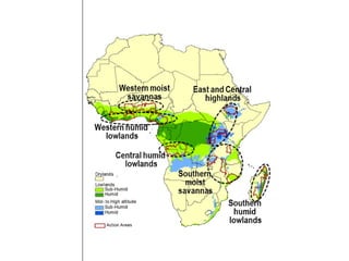 Research on sustainable intensification in the CGIAR research programs