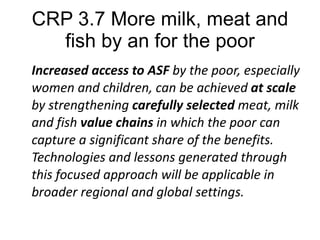 Research on sustainable intensification in the CGIAR research programs