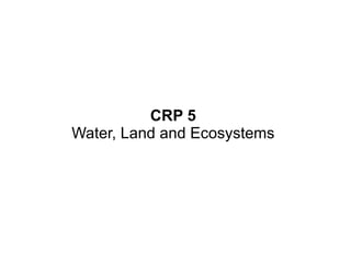 Research on sustainable intensification in the CGIAR research programs