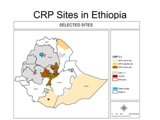Research on sustainable intensification in the CGIAR research programs